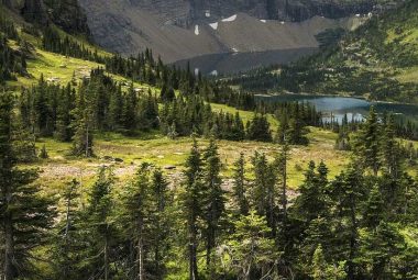 Wilderness Survival Gear